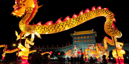 Chinese New Year! Year of the Dragon!