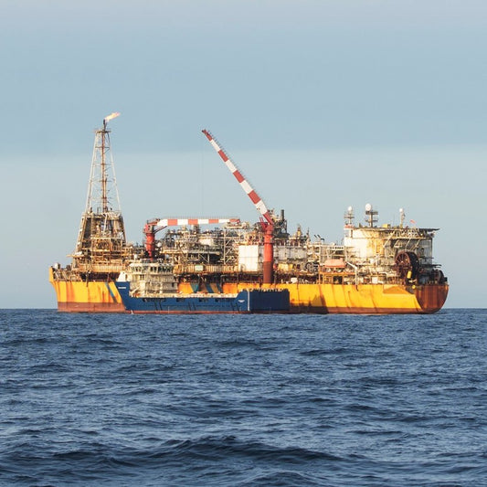 Building a Fully Optimized Reliability Centered Maintenance for FPSO Capital Project