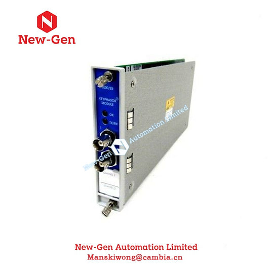 100% Tulen Bently Nevada 125489-01 Dalam Stok Modul PLC dengan Kilang Dimeterai